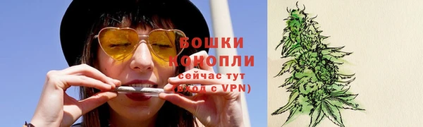 трава Бронницы