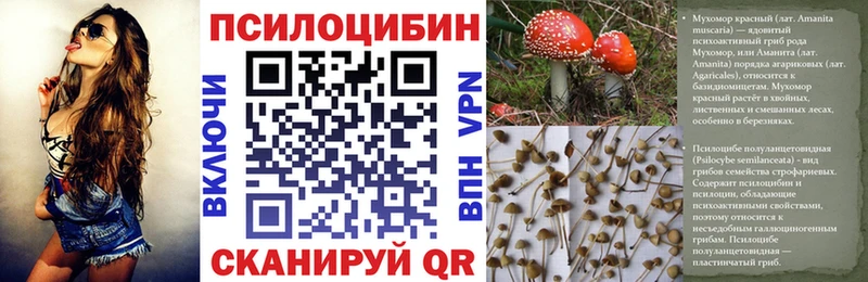 Галлюциногенные грибы Psilocybine cubensis Мещовск